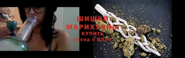 МДПВ Вяземский